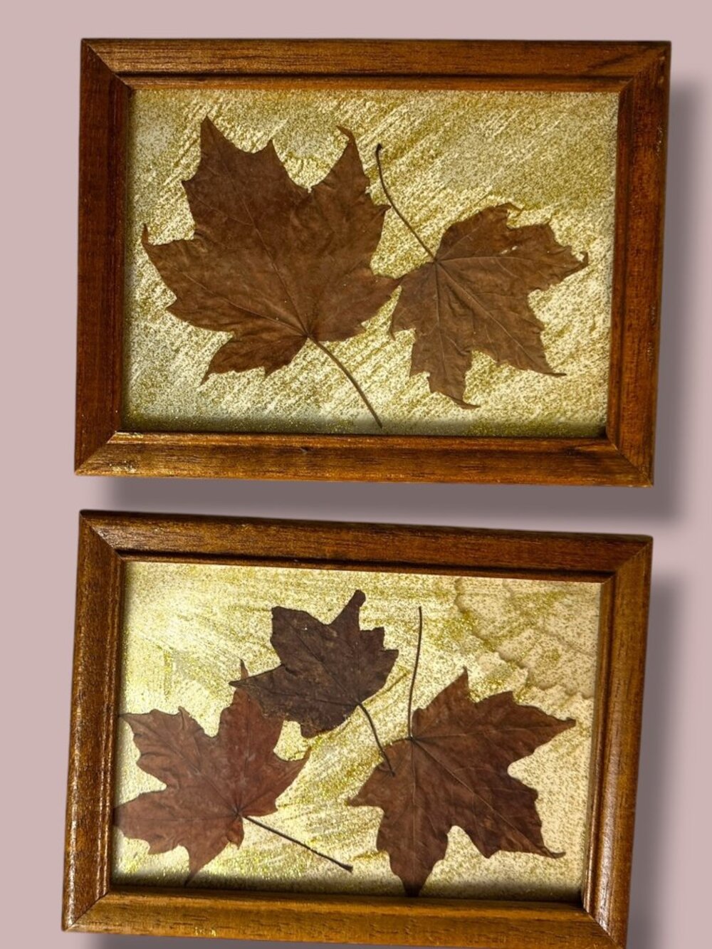 Pressed Maple Leaf Art In Wooden Frame With Gold Glitter Background Rustic Wall